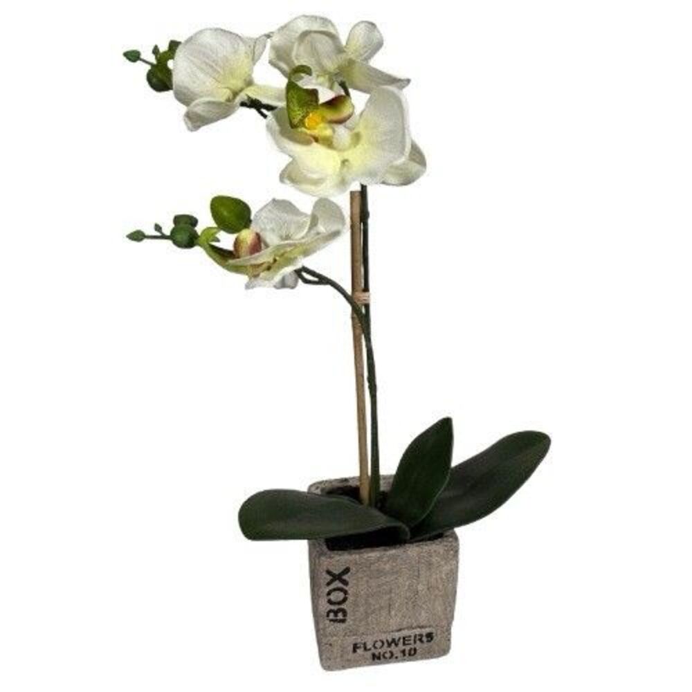 Potted Orchid Plant Faux Phalaenopsis Flowers Realistic Home Decor in Stone Pot